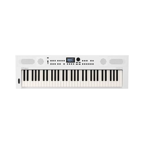 Roland Combo Piano 61鍵 デュアルボイス搭載 Roland Combo Piano 61鍵 デュアルボイス搭載 鍵盤楽器